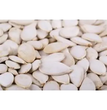 Fresh Squash Seed